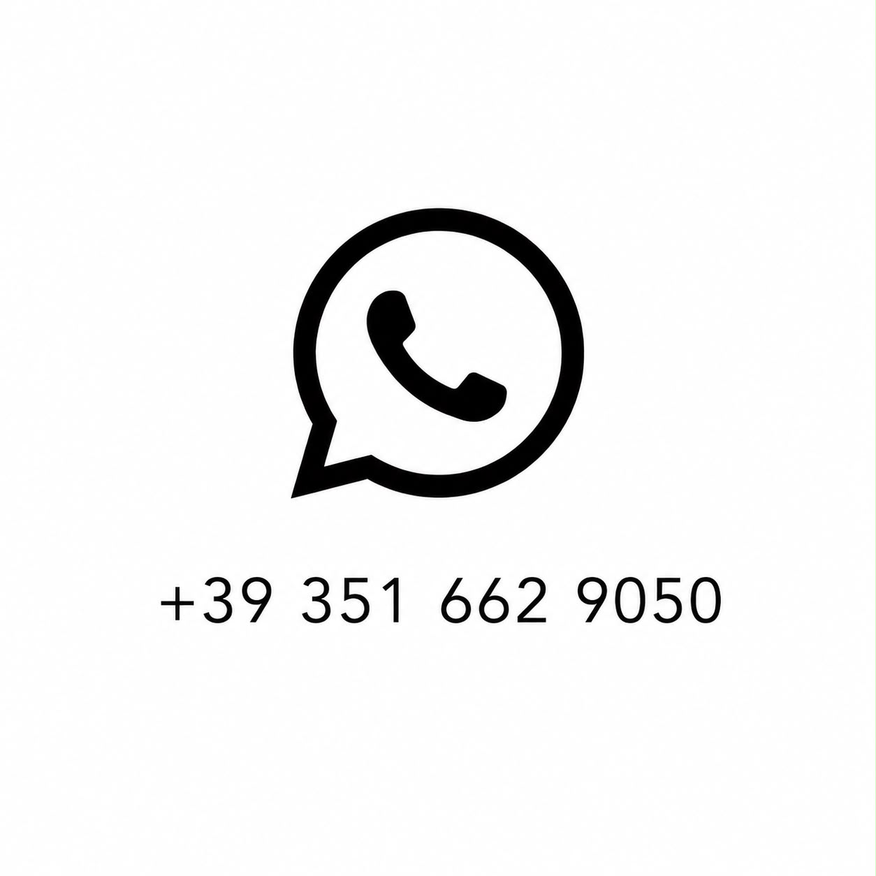 Home whatsapp monica cesario +393516629050 milano brasile traduttrice giurata (2)